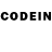 COCAIN Columbia Victor Sadovsky