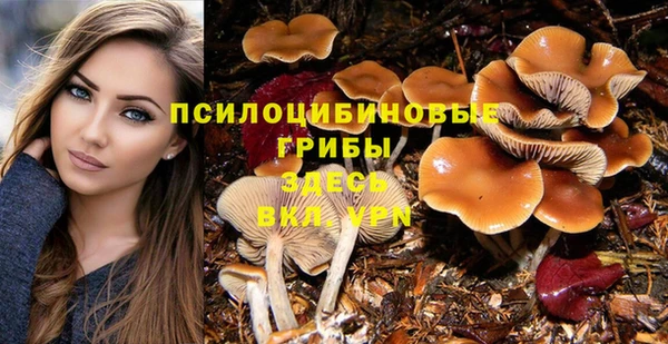 амф Баксан