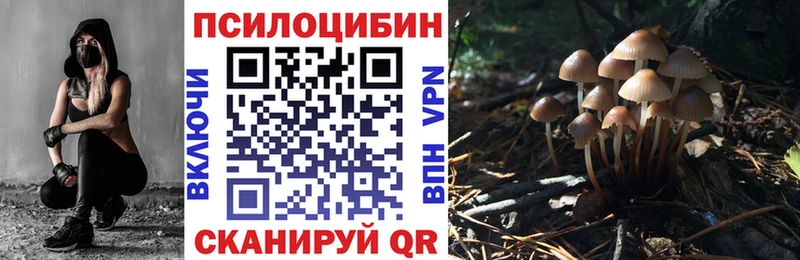 наркотики  Чусовой  Галлюциногенные грибы Magic Shrooms 